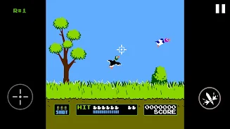 Duck Hunt Screenshot 5 