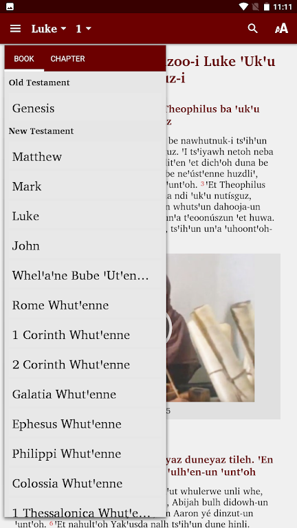 Southern Carrier Bible Screenshot 4 