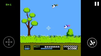 Duck Hunt Screenshot 3