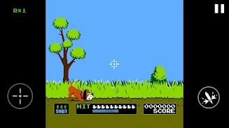 Duck Hunt Screenshot 4