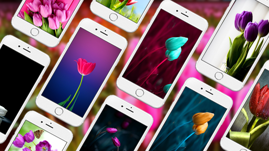 Tulip Live Wallpapers Screenshot 1 