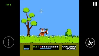 Duck Hunt Screenshot 2 