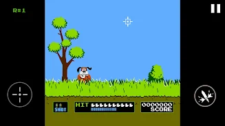 Duck Hunt Screenshot 1 