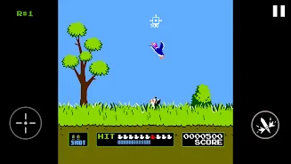 Duck Hunt Screenshot 7 