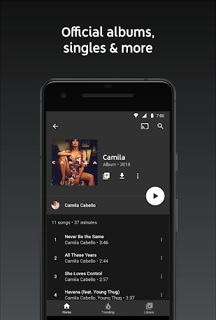 YouTube Music Stream Songs & Music Videos Screenshot 3 