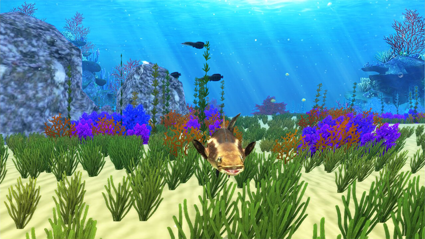 The Cobia Screenshot 3 