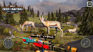 Jungle Deer Hunting Simulator Screenshot 8