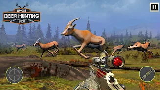 Jungle Deer Hunting Simulator Screenshot 5 