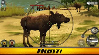 Wild Hunt: Hunting Games 3D Screenshot 1