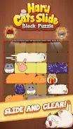 Haru Cats: Cute Sliding Puzzle Screenshot 6