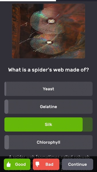 QuizzLand Screenshot 2