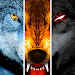 Wolf Online APK