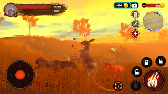 The Kangaroo Screenshot 7