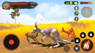 The Kangaroo Screenshot 4