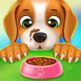 My pet Labrador dog care guide APK