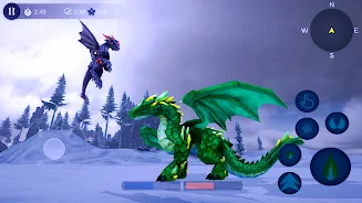 Magical Dragon Flight Games 3D Screenshot 2 