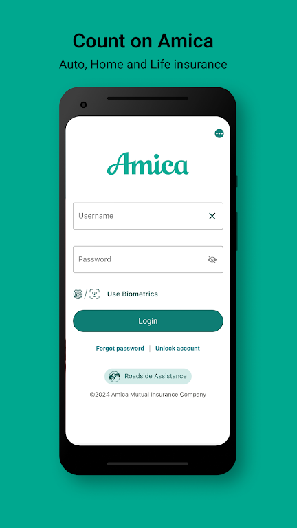 Amica Screenshot 1 