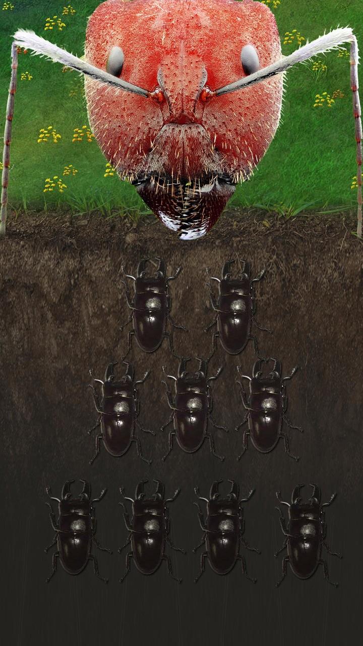 Ants Underground Kingdom Life Screenshot 2 