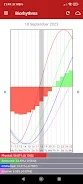 Personal Biorhythms Calculator Screenshot 1