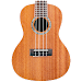 My Ukulele - Solo & Chords APK