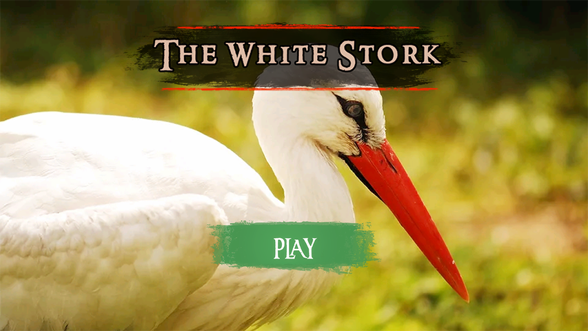 The White Stork Screenshot 1