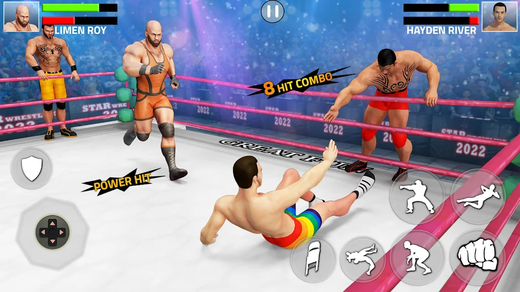 Tag Team Wrestling Game Screenshot 1 