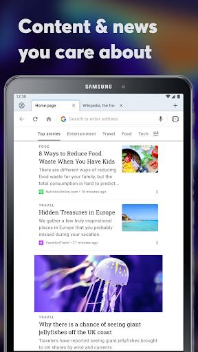 Opera browser beta Screenshot 1 