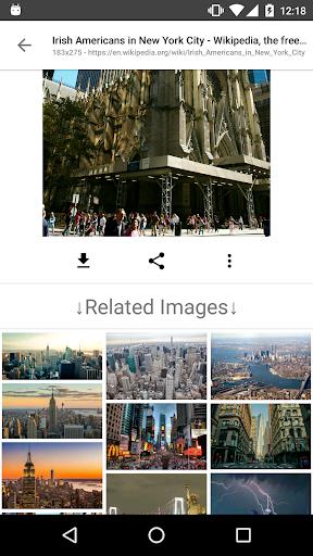 ImageSearchMan - Search Images Screenshot 3 