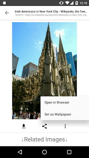 ImageSearchMan - Search Images Screenshot 4 