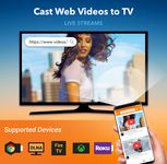 Cast Web Video: Chromecast, cast web browser to tv Screenshot 1 