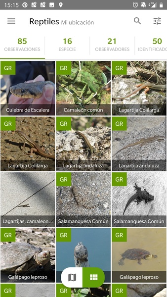 iNaturalist Screenshot 2 