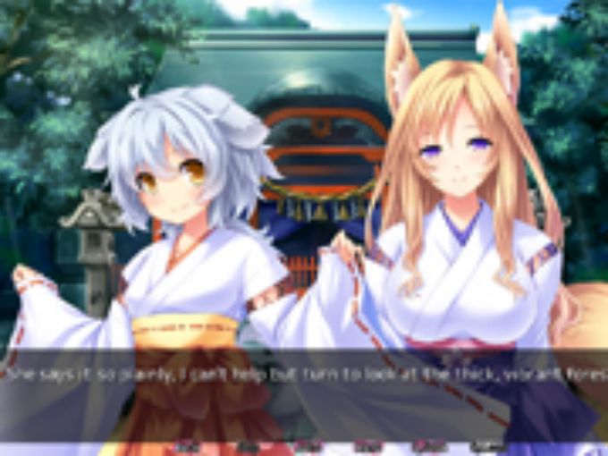 Wild Romance: Mofu Mofu Edition Screenshot 1 