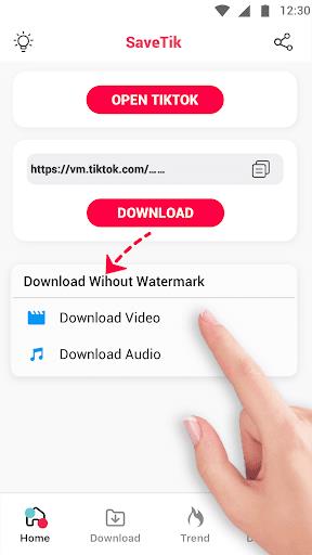 SaveTik: Download tiktok video Screenshot 2