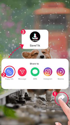 SaveTik: Download tiktok video Screenshot 1