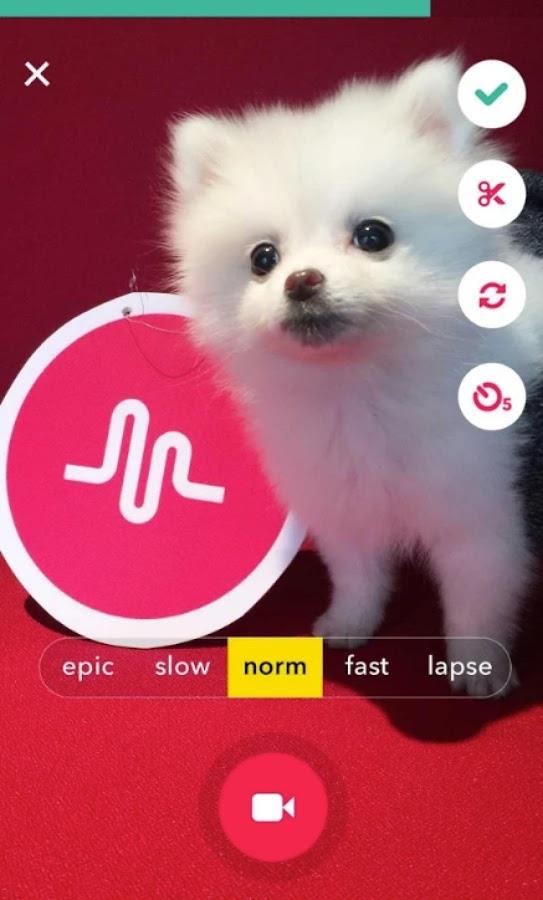 musical.ly lite Screenshot 1