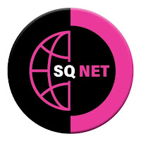 SQ NET VPN APK