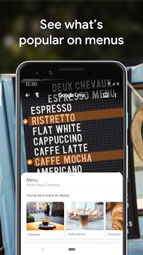 Google Lens Screenshot 2 