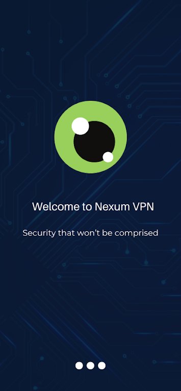 Nexum VPN - Safer Internet Screenshot 3