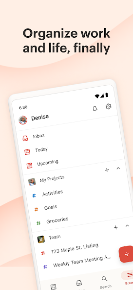 Todoist: to-do list & planner Mod Screenshot 1 