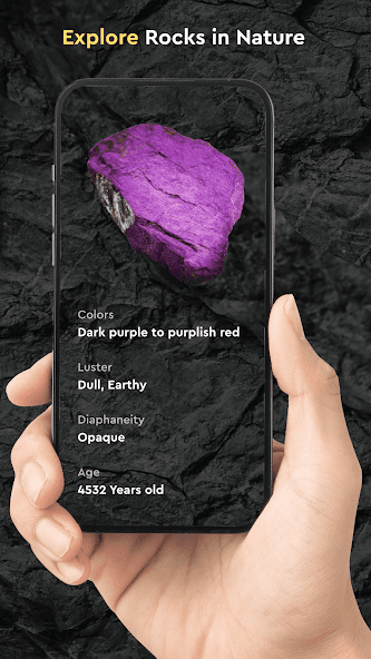 Rock Identifier by Photo Mod Screenshot 3