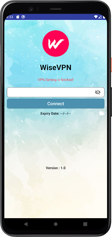 WiseVPN Screenshot 1 