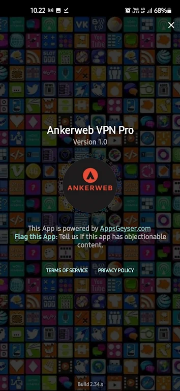 Ankerweb VPN Pro Screenshot 3