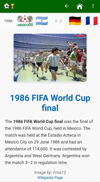 The Foot World Cup Screenshot 3