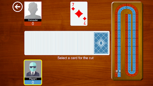 Cribbage JD Card Game Screenshot 4