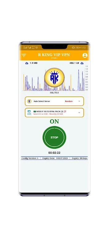 R KING VPN Screenshot 1