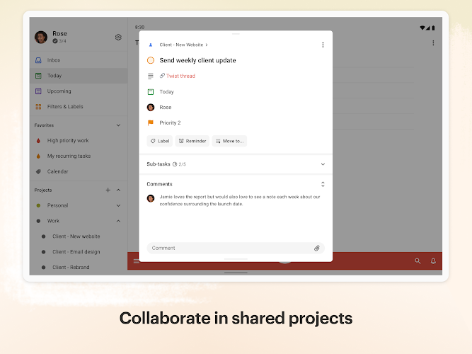 Todoist: to-do list & planner Mod Screenshot 10 