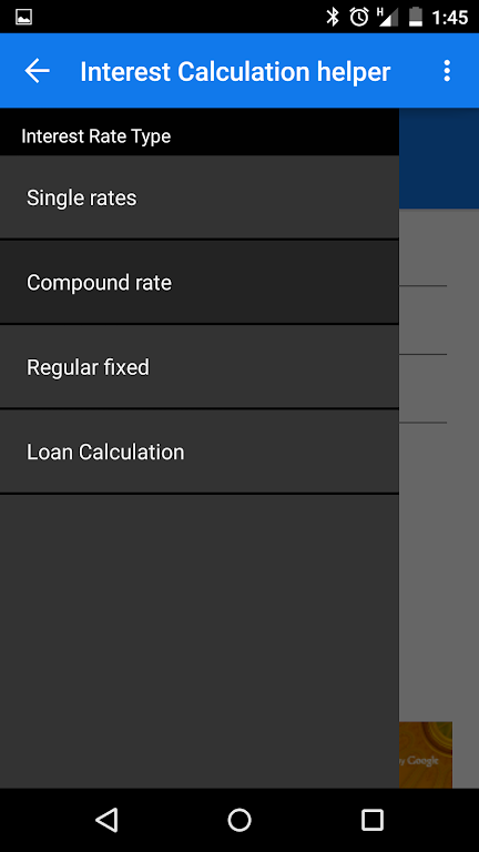 Interest Rate Calculation Screenshot 3