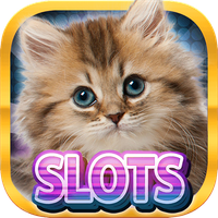 Casino Kitty Free Slot Machine APK