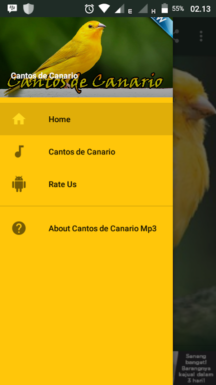 Cantos de Canario Mp3 Screenshot 1