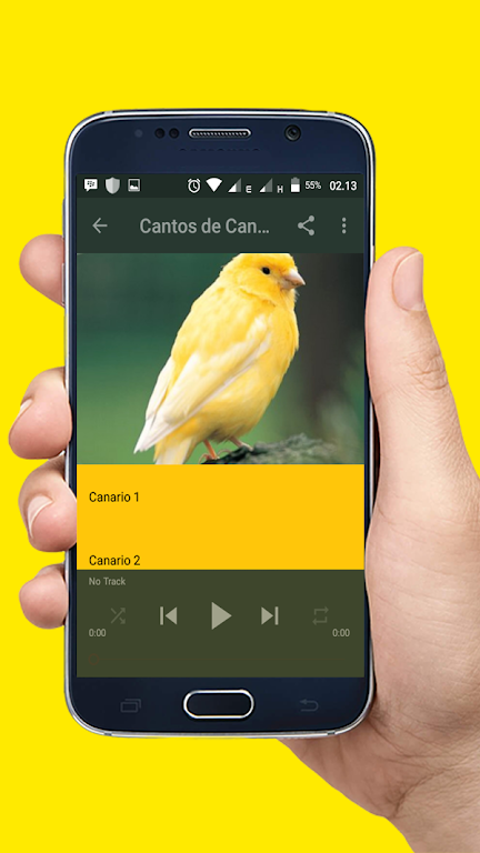 Cantos de Canario Mp3 Screenshot 3 